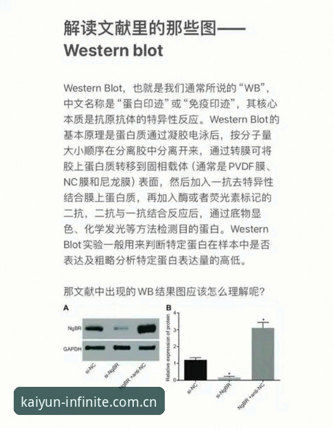 皇家社会后防引援深度分析：迪奥戈·莱特转会操作教程与平台观赛指南